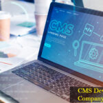 Future-Ready Websites with a Leading CMS Development Company in India
